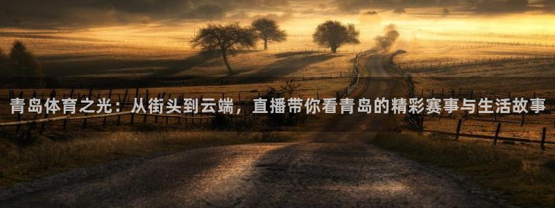 青岛体育之光：从街头到云端，直播带你看青岛的精彩赛事与生活故事