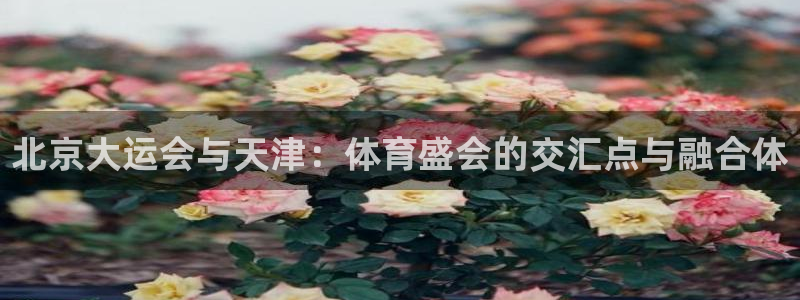 北京大运会与天津：体育盛会的交汇点与融合体