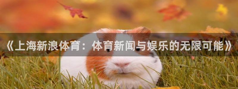 《上海新浪体育：体育新闻与娱乐的无限可能》