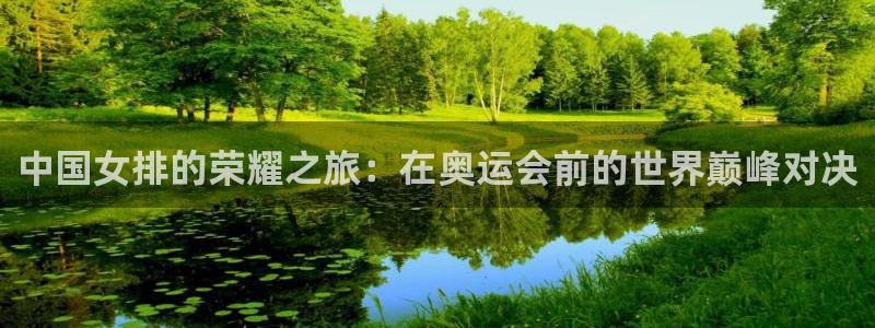 中国女排的荣耀之旅：在奥运会前的世界巅峰对决