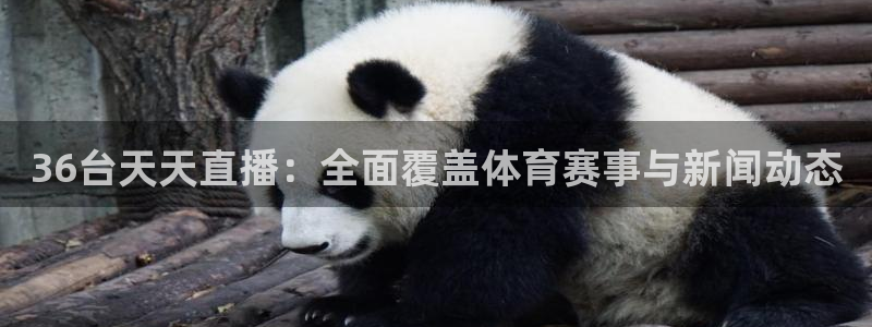 36台天天直播：全面覆盖体育赛事与新闻动态