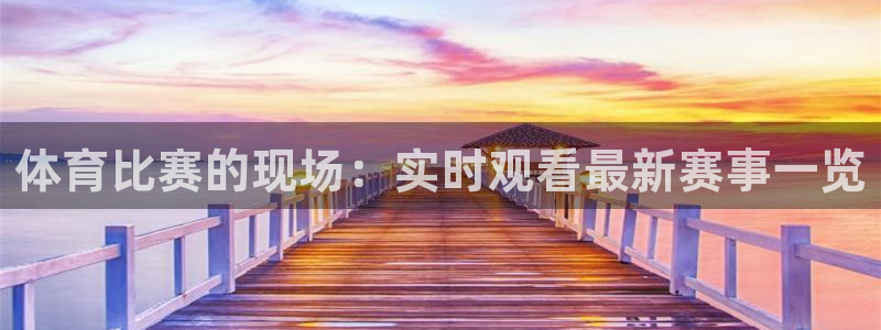 体育比赛的现场：实时观看最新赛事一览