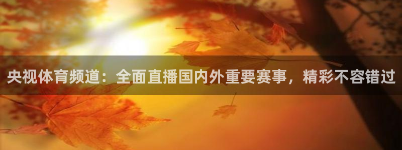 央视体育频道：全面直播国内外重要赛事，精彩不容错过