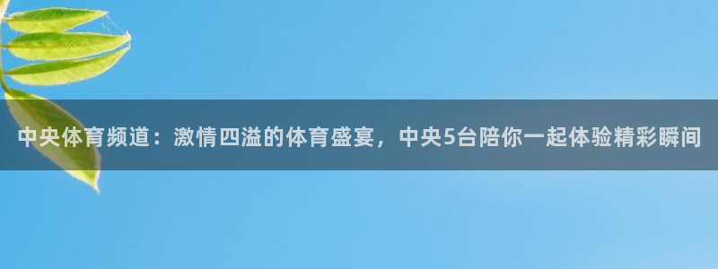 中央体育频道：激情四溢的体育盛宴，中央5台陪你一起体验精彩瞬间