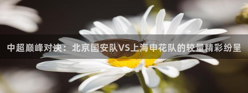 中超巅峰对决：北京国安队VS上海申花队的较量精彩纷呈
