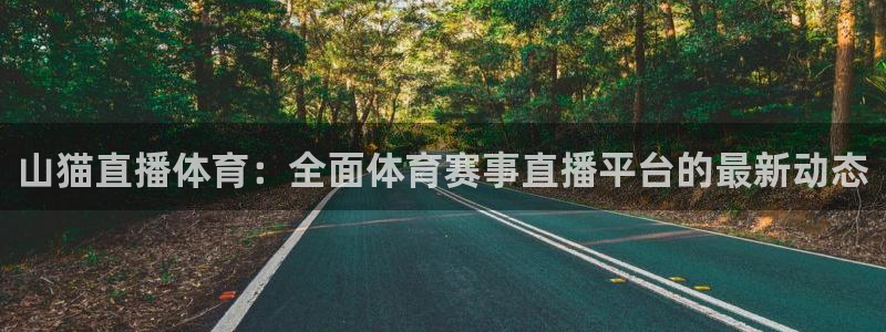 山猫直播体育：全面体育赛事直播平台的最新动态