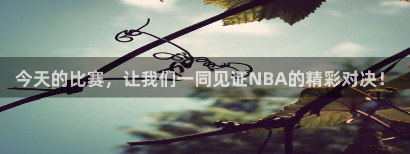 今天的比赛，让我们一同见证NBA的精彩对决！