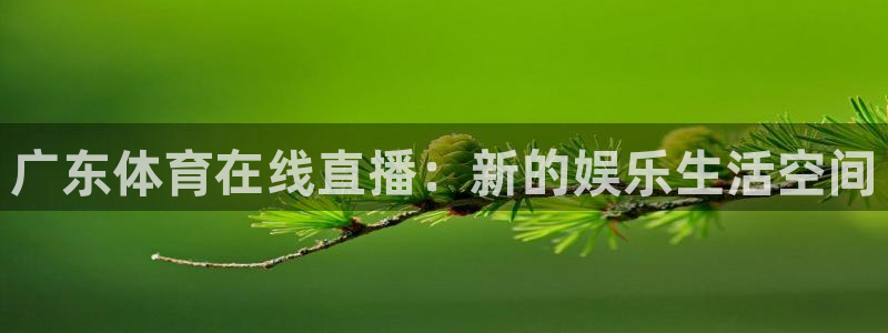 广东体育在线直播：新的娱乐生活空间