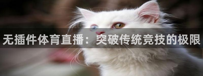 无插件体育直播：突破传统竞技的极限